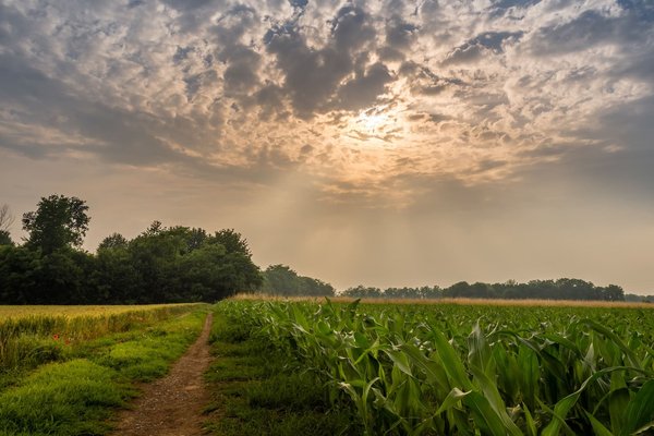 Comment organiser des vacances dans un cottage anglais en pleine campagne ?