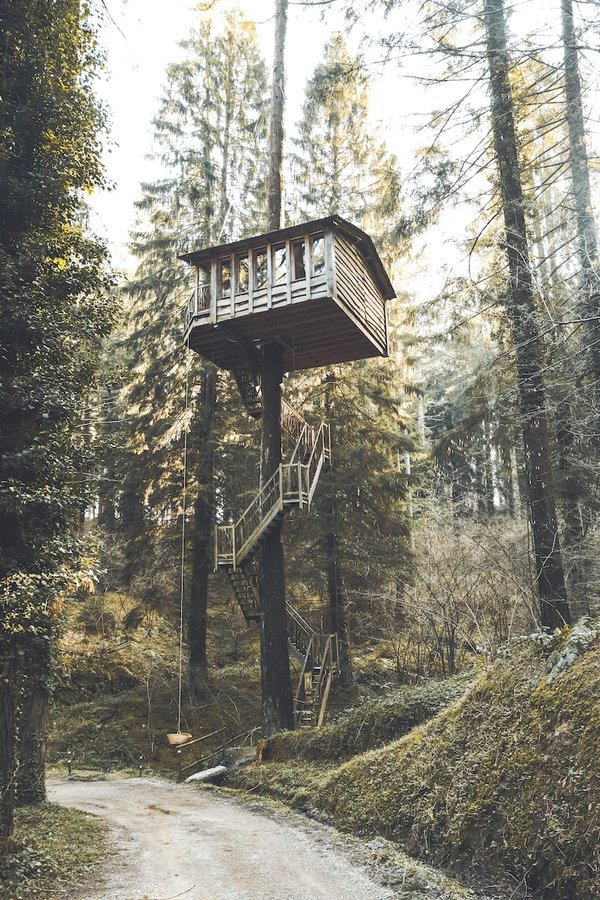 Peut-on louer une maison dans un arbre pour des vacances perchées ?