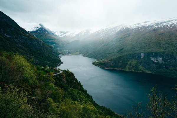 Croisières dans les fjords russes de la mer Blanche : Faune arctique
