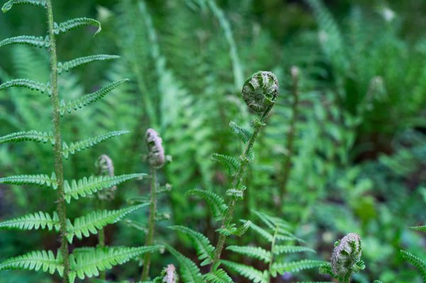 Peut-on trouver une location dans une ferme pour participer aux activités agricoles ?
