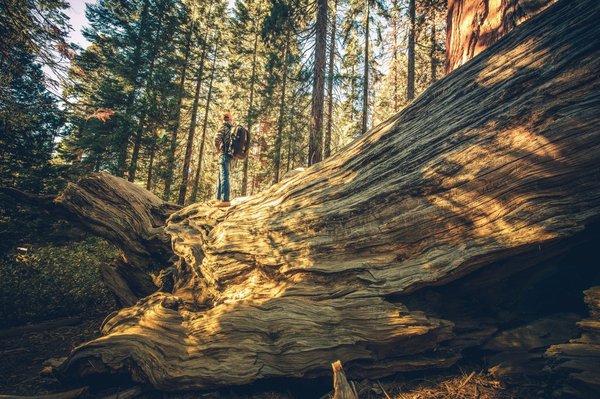 Comment explorer des forteresses et des tours médiévales sans droit d'entrée en Europe de l'Est ?