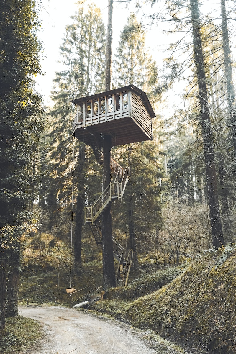 gray and brown wooden tree houose
